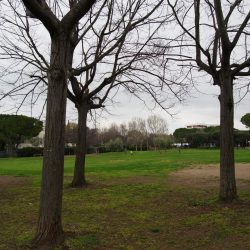 P3240052
