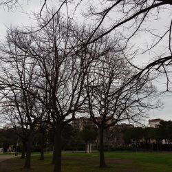 P3240054